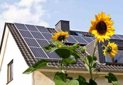 The Solar Energy Industry Image